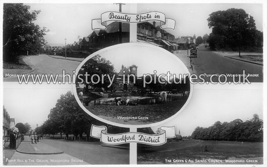 Beauty Spots of Woodford, Essex. c.1930's
